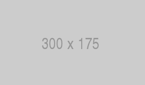 7 BONUS UP!