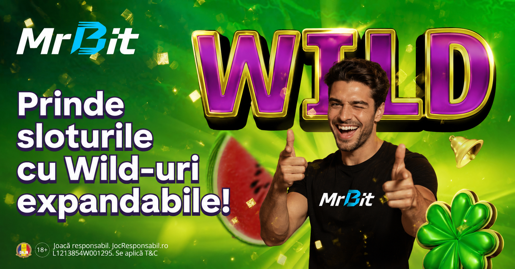 Sloturi Cu Wild